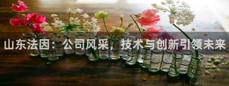 天辰娱乐集团:山东法因:公司风采,技术与创新引领未来