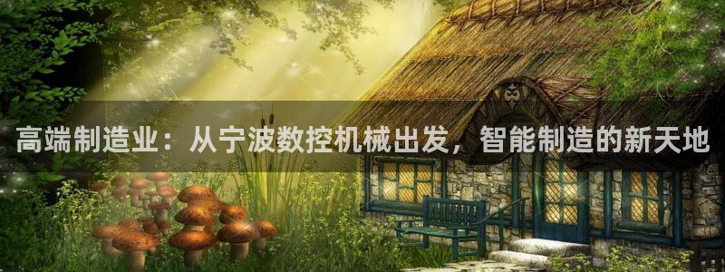 天辰2娱乐:高端制造业:从宁波数控机械出发,智能制造的新天地