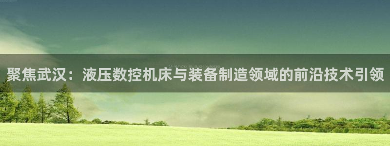 天辰娱乐1966:聚焦武汉:液压数控机床与装备制造领域的前沿技术引领