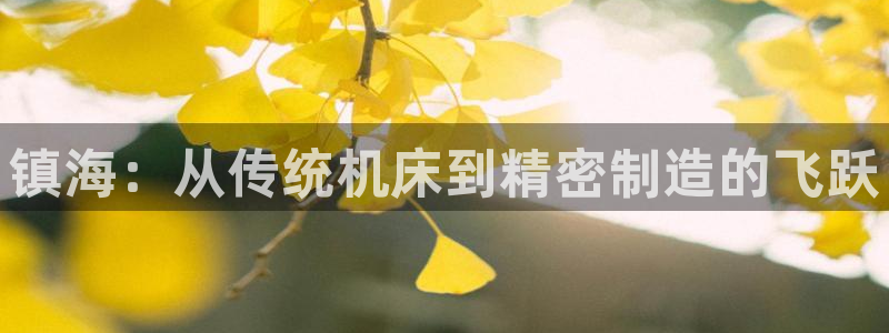 天辰娱乐游戏:镇海:从传统机床到精密制造的飞跃