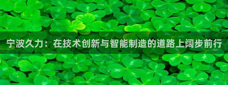 天辰天富娱乐:宁波久力:在技术创新与智能制造的道路上阔步前行