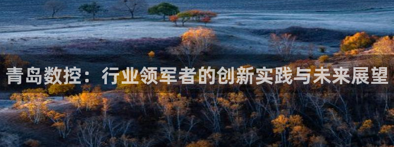 天辰娱乐728567:青岛数控:行业领军者的创新实践与未来展望
