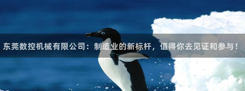 广东天辰娱乐:东莞数控机械有限公司:制造业的新标杆,值得你去见证和参与!