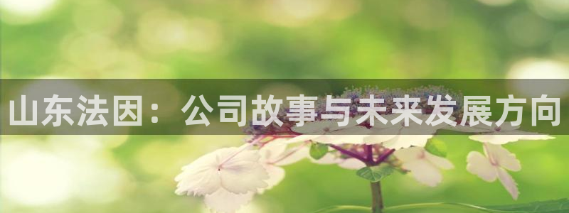 天辰娱乐 天辰平台:山东法因:公司故事与未来发展方向