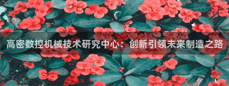 天辰娱乐简介:高密数控机械技术研究中心:创新引领未来制造之路