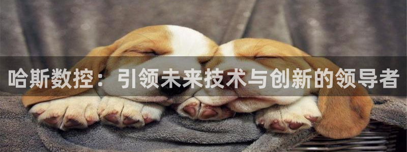 天辰娱乐总管:哈斯数控:引领未来技术与创新的领导者