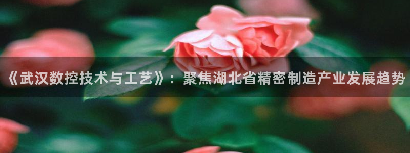 天辰娱乐在哪:《武汉数控技术与工艺》:聚焦湖北省精密制造产业发展趋势