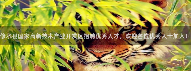 天辰娱乐挂机:修水县国家高新技术产业开发区招聘优秀人才,欢迎各位优秀人士加入!
