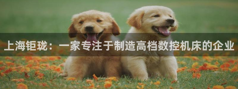 天辰娱乐ttf:上海钜珑:一家专注于制造高档数控机床的企业