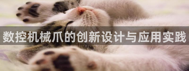 天辰娱乐上级:数控机械爪的创新设计与应用实践